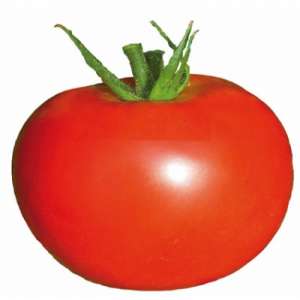 Мелман F1 (23011 F1) - томат индетерминантный, 250 семян, Lark Seeds (Ларк Сидс), США фото, цена